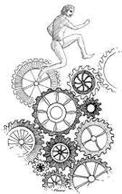 Mechanistic picture of biomechanics