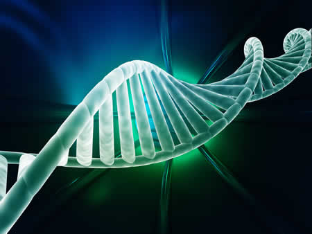 Molecular DNA