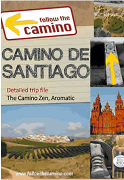 Camino de Santiago