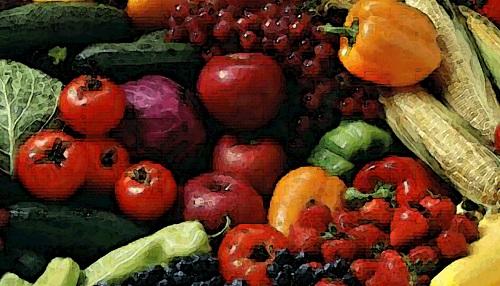 Martin Lane 215 Organic Principles Inform Food Production