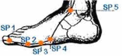 Spleen Organic Energy Points