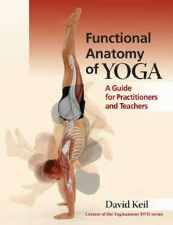 Functional Anatomy of Yoga