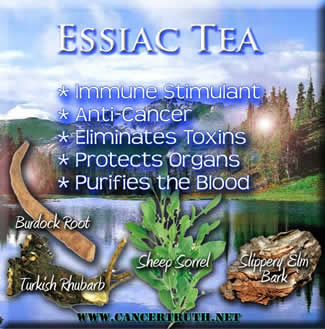 Essiac Tea formulation