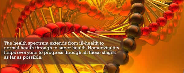 Homeovitality SSHD Banner