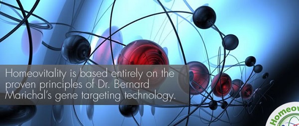 Bernard Marichal Gene Targeting Technology