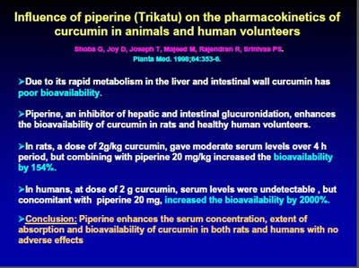 Influence of Piperine on Curcumin Pharmacokinetics