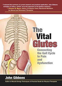 The Vital Glutes