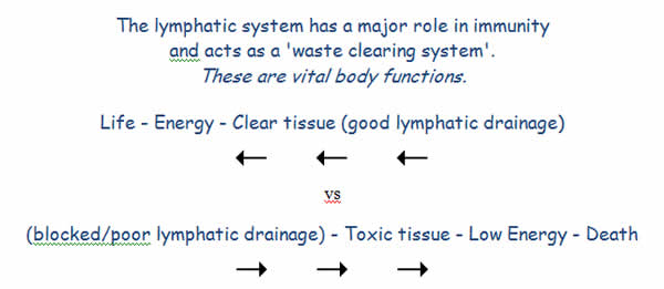 Lymph diag