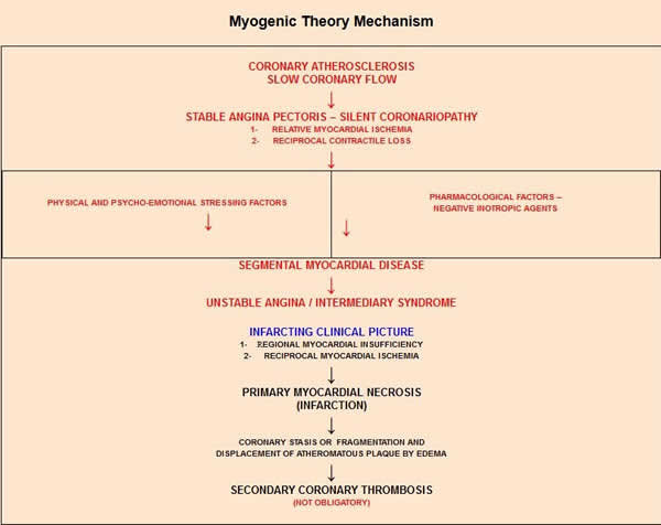 Myogenic Theory Mechanism
