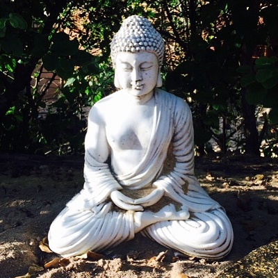 Meditate Buddha Primroses Kitchen