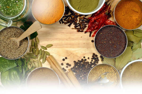 Live an Ayurveda Lifestyle