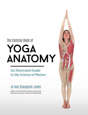 The Concise Book of Yoga Anatomy: An Illustrated Guide to the Science of Motion