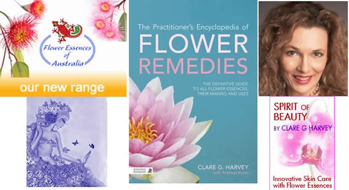 Clare Harvey - Flower Essences Ranges