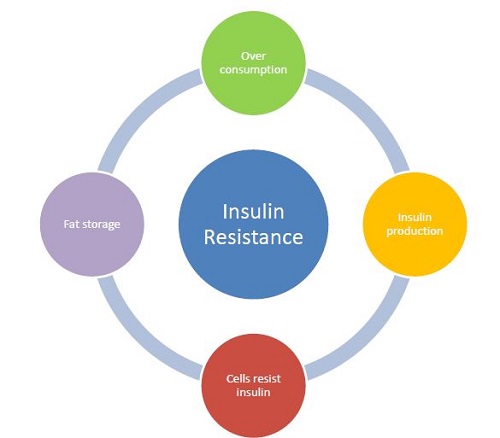 Insulin-Resistance