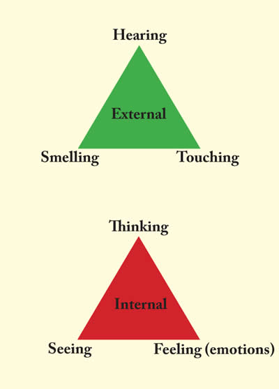 Fig. 4. Self-Examination