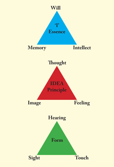 Fig. 5. Transient Self II