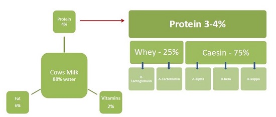 Composition of Milk