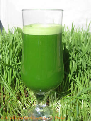 Fresh-wheatgrass-juice1