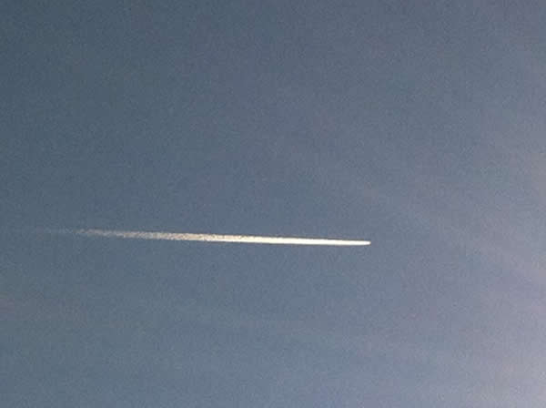 short, fast dispersing, non persistent trails short, fast dispersing, non persistent trails