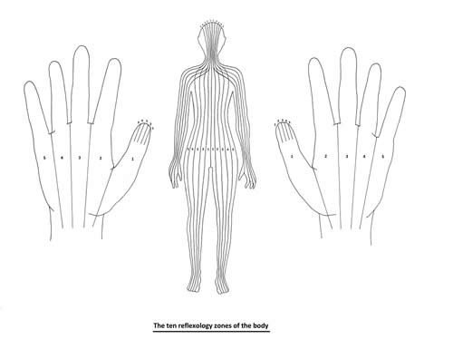 The ten reflexology zones of the body