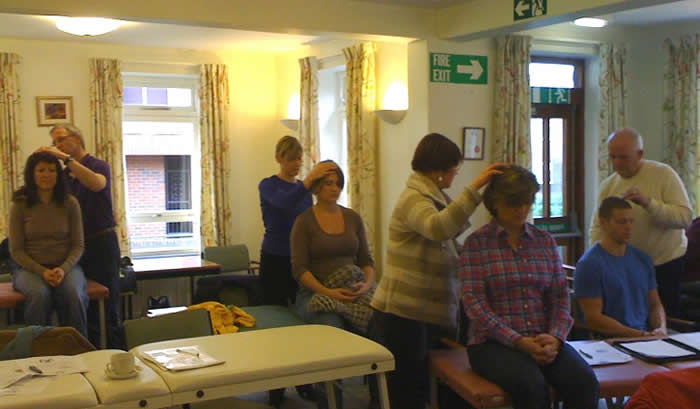 Turning Point Training Postgraduate Courses: Craniosacral Therapy, Homotoxicology