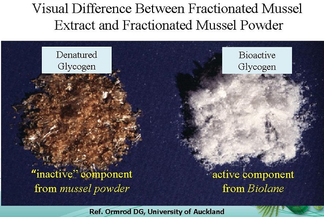 Inactive and Active Mussel Powder