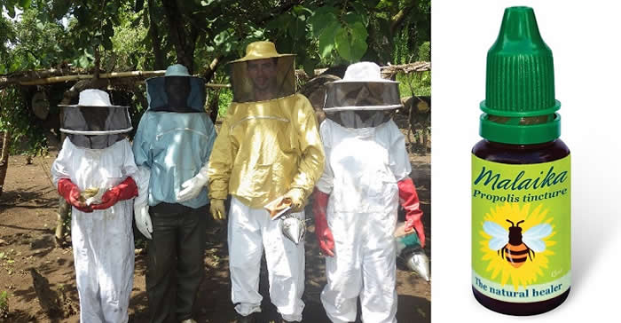 Propolis -  Natural Superdrug Helping Rural Ugandans to Avoid Poverty