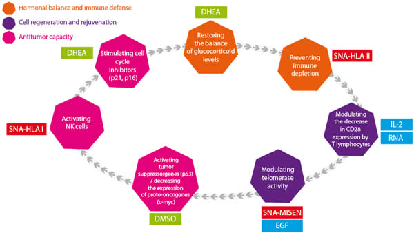 schema_MISEN_ultraSimple_UK