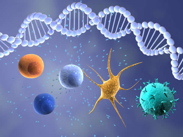 Immune-Modulating Cells