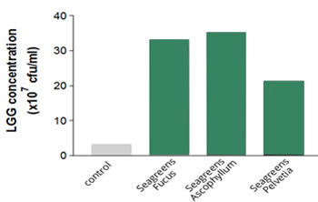 Seagreens prebiotic graph