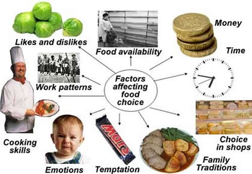 Factors Affecting Food Choice