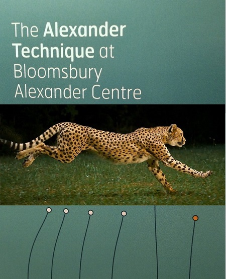 Bloomsbury Alexander Logo + Leopard
