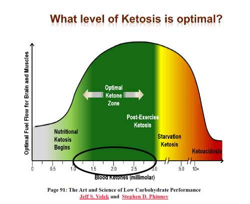 ketosis