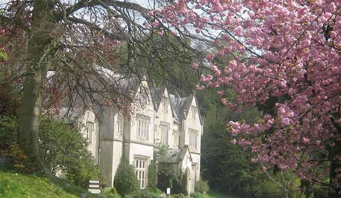 Hawkwood College + Pink Blossom Tree