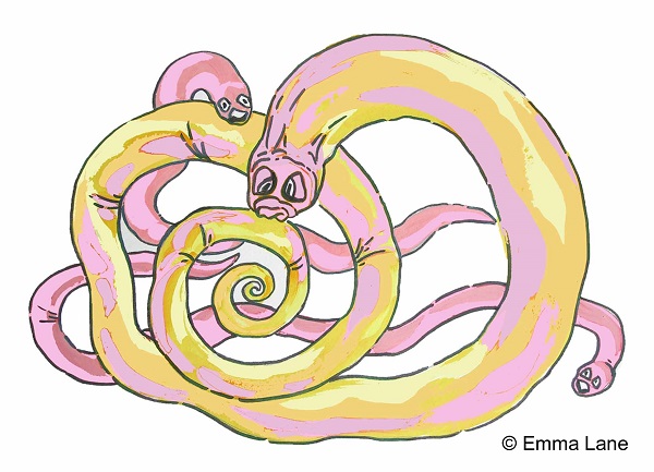 Roundworms © Emma Lane