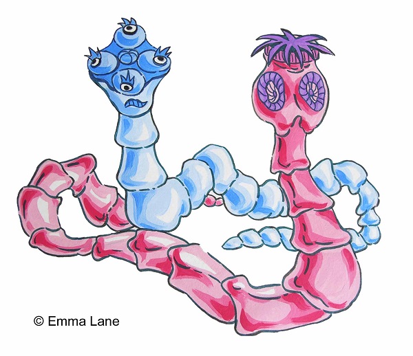 Tapeworm ©Emma Lane