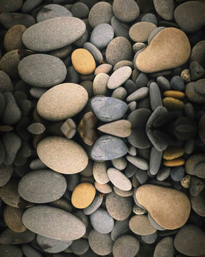 theme_main_background