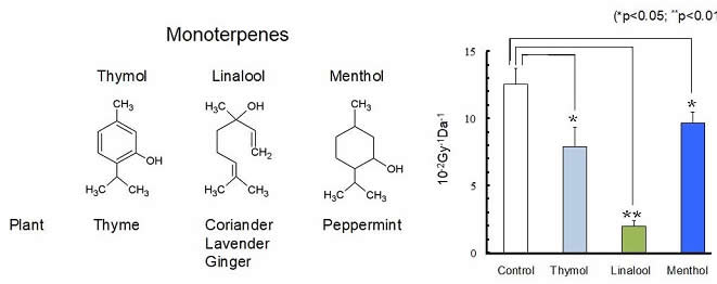 Complete prevention of DNA strand breaks by linalool irradiated after 10 Gy of X-ray.