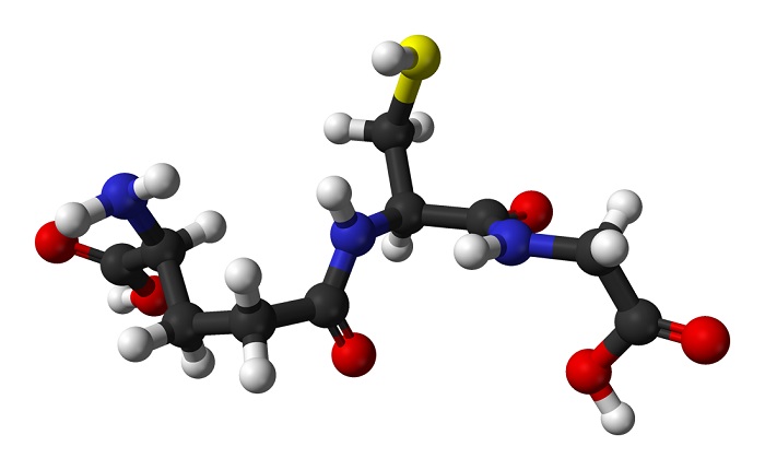 Model Glutathione