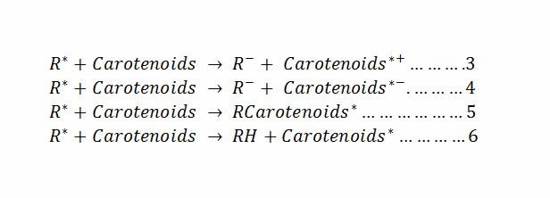 Antioxidant studies