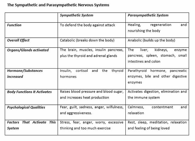 The Sympathetic and Parasympathetic Nervous Systems