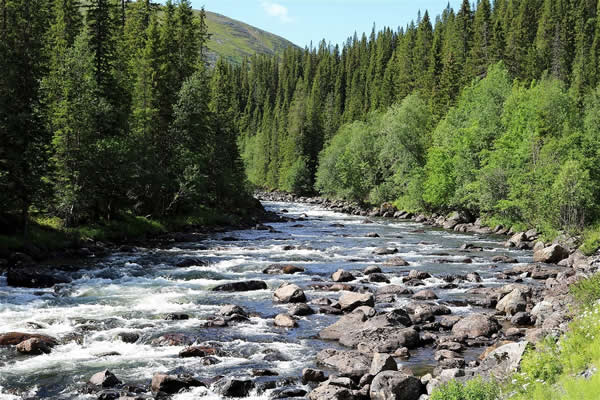 Running Water Rapids