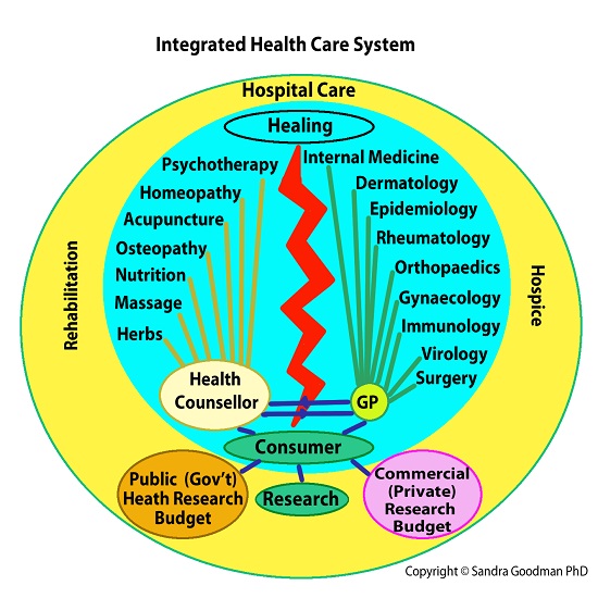 Integrated Health Care System Schism 2018 Integrated Health Care System Schism 2018