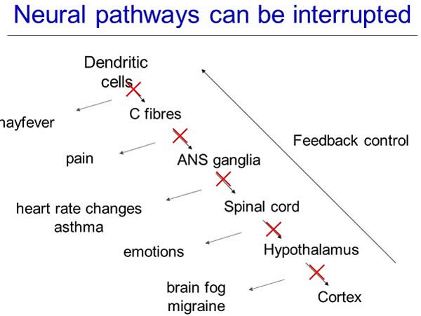 Neural Pathyway-interrupted
