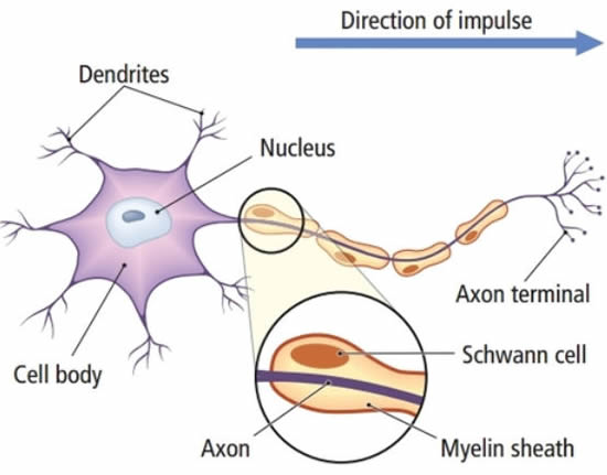 How Scary Concepts Can Affect Health