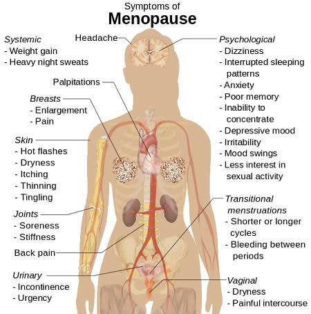 Menopause