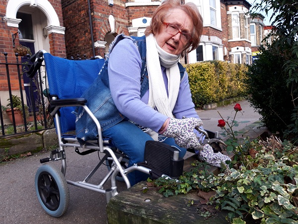 WheelChair Gardening