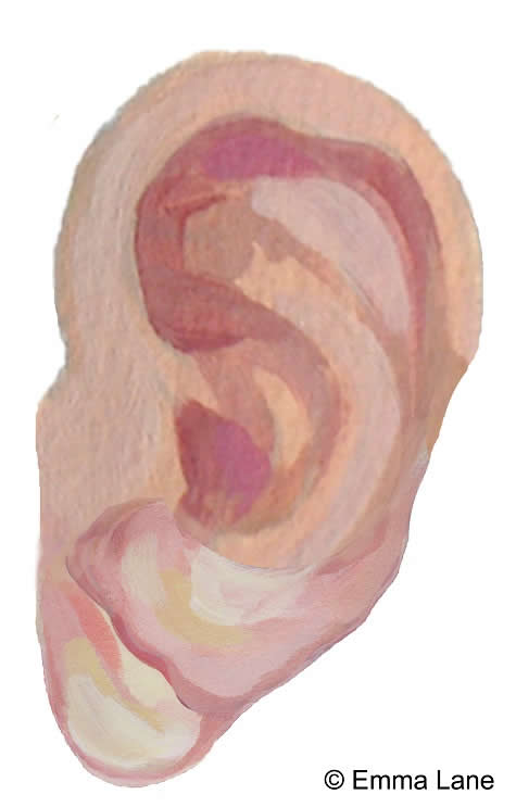 ear