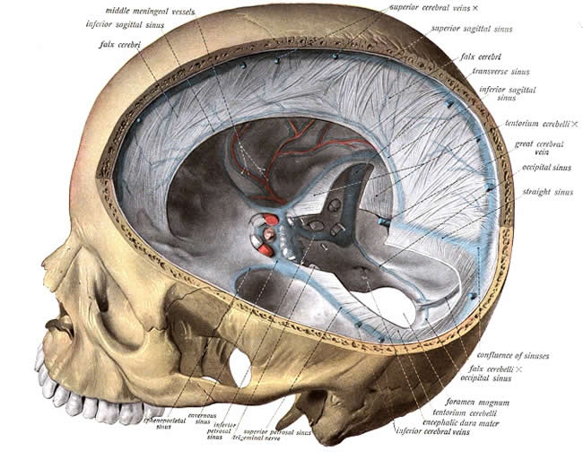 Reciprocal Tension Membrane