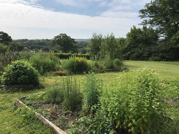 the herb garden